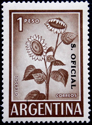Аргентина 1961 год . Подсолнух / Гирасол (надпечатка)
